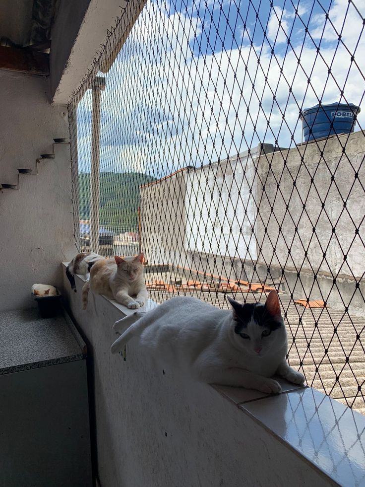 Apartment Balcony Safety Nets