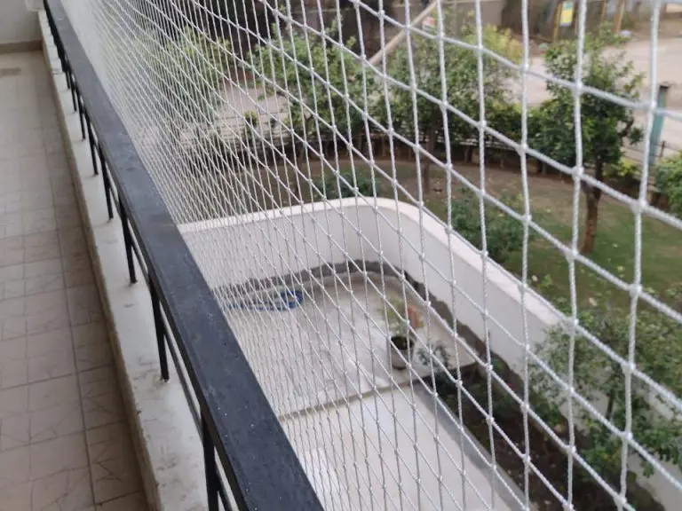 Safety Nets