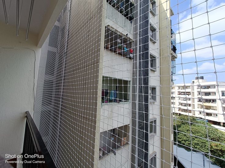 Pigeon Safety Nets in Bengaluru